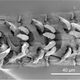 Illustration for article titled Sea Snail Teeth Are The Strongest Known Biological Structures